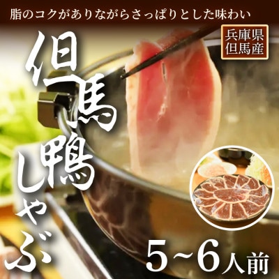 「但馬鴨」しゃぶしゃぶセット(大)5~6人前