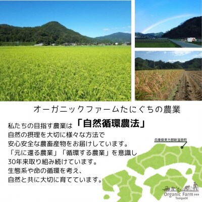 【毎月定期便】但馬鴨お楽しみコース5～6人前(鴨鍋　焼肉　しゃぶしゃぶ)全3回