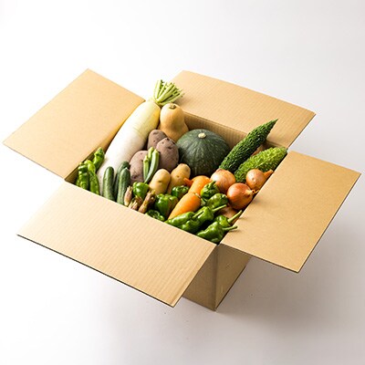 【新温泉町産】季節のおいしい野菜詰め合わせ