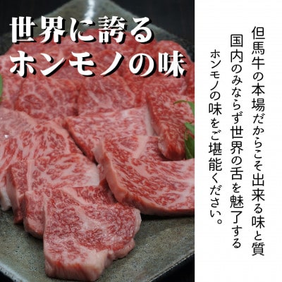 但馬牛ロースと赤身 店長おすすめ部位 食べくらべ 500g