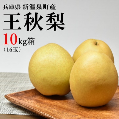 王秋梨 10kg箱(16玉)/兵庫県 新温泉町産 | 兵庫県新温泉町