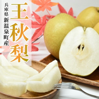 王秋梨 5kg箱(12～8玉)/兵庫県 新温泉町産