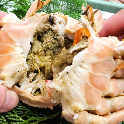 松葉ガニの本場より プロ茹で松葉ガニ(冷凍)　約600g×2枚