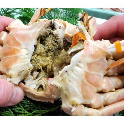 松葉ガニの本場より プロ茹で松葉ガニ(冷凍)　約700g×2枚