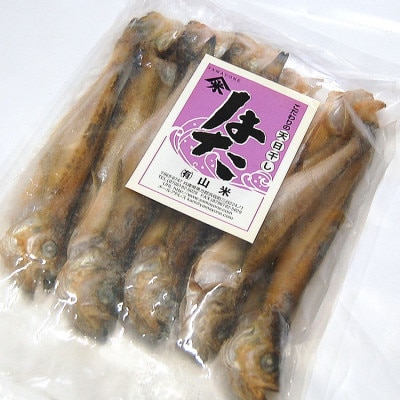 山陰の大型ハタハタ一夜干し　10匹入り