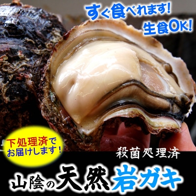 山陰の岩ガキ・サザエ詰合(大きさにより各4～7個)　牡蠣は殺菌済　下処理済　生食OK　さざえ砂抜き済