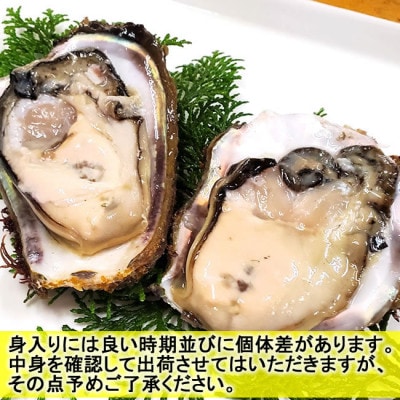 山陰の岩ガキ・サザエ詰合(大きさにより各4～7個)　牡蠣は殺菌済　下処理済　生食OK　さざえ砂抜き済