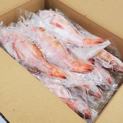 山陰のノドグロ　7尾入　煮付け、塩焼きに!