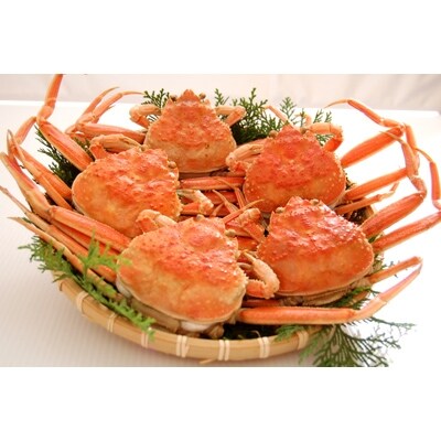 松葉ガニの本場 兵庫県新温泉町 訳あり 釜茹でセコガニ 冷凍 6枚 中 お礼品詳細 ふるさと納税なら さとふる