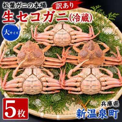 松葉ガニの本場　訳あり・生セコガニ(冷蔵)大サイズ　5枚　兵庫県新温泉町　ご家庭で茹でてアツアツを