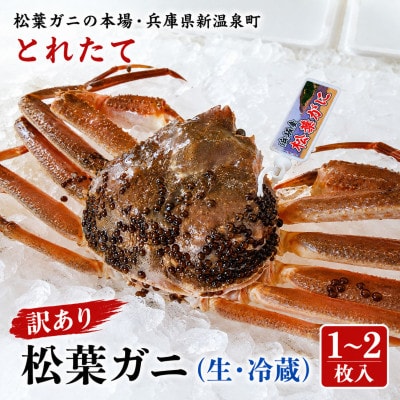 松葉ガニの本場・兵庫県新温泉町　とれたて　訳あり・松葉ガニ(生・冷蔵)　1～2枚入