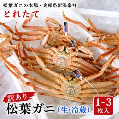 松葉ガニの本場・兵庫県新温泉町　とれたて　訳あり・松葉ガニ(生・冷蔵)　1～3枚入