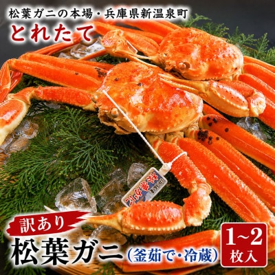 松葉ガニの本場・兵庫県新温泉町　とれたて　訳あり・松葉ガニ(釜茹で・冷蔵)　1～2枚入