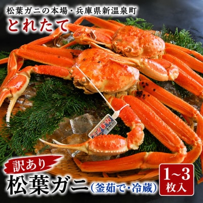 松葉ガニの本場・兵庫県新温泉町　とれたて　訳あり・松葉ガニ(釜茹で・冷蔵)　1～3枚入