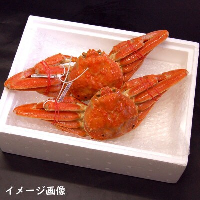 松葉ガニの本場より プロ茹で松葉ガニ(冷凍)　約400g×5枚
