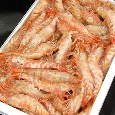 兵庫県新温泉町 お刺身用 モサエビ 船内冷凍 500g以上 お礼品詳細 ふるさと納税なら さとふる 兵庫県新温泉町 お刺身用 モサエビ 船内冷凍 500g以上 お礼品詳細 ふるさと納税なら さとふる