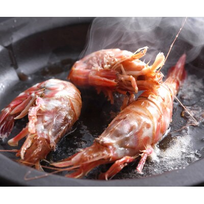 兵庫県新温泉町 お刺身用 モサエビ 船内冷凍 500g以上 お礼品詳細 ふるさと納税なら さとふる 兵庫県新温泉町 お刺身用 モサエビ 船内冷凍 500g以上 お礼品詳細 ふるさと納税なら さとふる