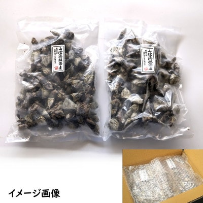 亀の手　大サイズ　500g×2袋　計1kg　兵庫県新温泉町　