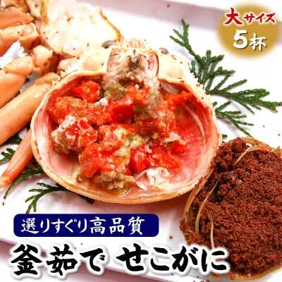 松葉ガニの本場より茹でたてを即出荷　釜茹でセコガニ(冷蔵)　希少な大サイズ　5枚