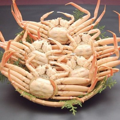 松葉ガニの本場より茹でたてを即出荷　釜茹でセコガニ(冷蔵)　希少な大サイズ　5枚