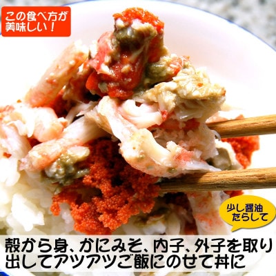 松葉ガニの本場より茹でたてを即出荷　釜茹でセコガニ(冷蔵)　希少な大サイズ　5枚