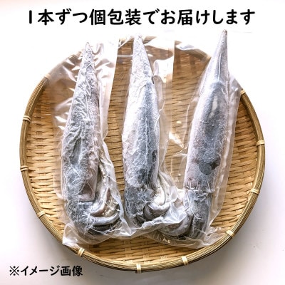 【便利な個包装】朝とれスルメイカ　3杯セット(3杯×200～300g)750g前後　高鮮度3D凍結　