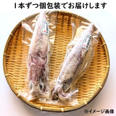 【便利な個包装】高級朝とれ白いか　2杯セット(2杯×300～400g)700g前後　高鮮度3D凍結