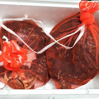 天然　活モクズガニ　約2kg　兵庫県新温泉町　