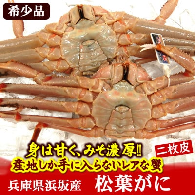 【数量限定】希少な松葉がに(ボイル冷凍)2枚　産地しか手に入らない脱皮直前のレアな松葉がに　ソフト蟹