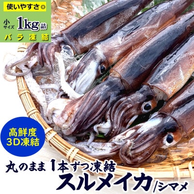 スルメイカ冷凍 1kg 小さいサイズ 訳あり 家庭用