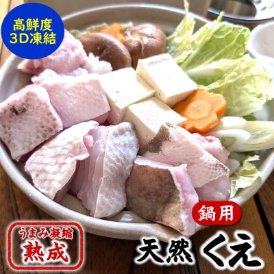 幻の高級魚 天然本クエ鍋用 500g(2～3人前)熟成 旨味凝縮 高鮮度3D凍結 大型使用