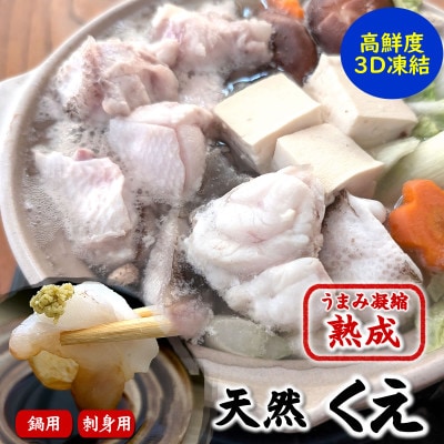 幻の高級魚 天然本クエ鍋用 500g(2-3人前)+お刺身 熟成 旨味凝縮 高鮮度3D凍結 大型使用