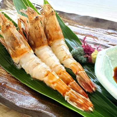 【2ヵ月毎定期便】山陰の地エビ食べ比べコース  全3回