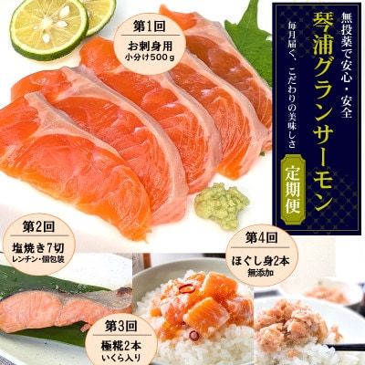 【毎月定期便】山陰の魚屋 山米鮮魚 厳選 国産グランサーモン定期便全4回