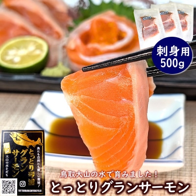 【毎月定期便】山陰の魚屋 山米鮮魚 厳選 国産グランサーモン定期便全4回