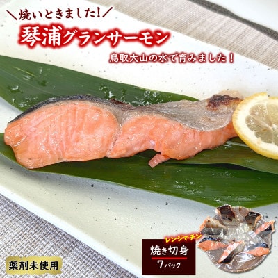【毎月定期便】山陰の魚屋 山米鮮魚 厳選 国産グランサーモン定期便全4回