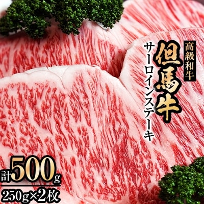 但馬牛サーロインステーキ2枚入り【250g×2】