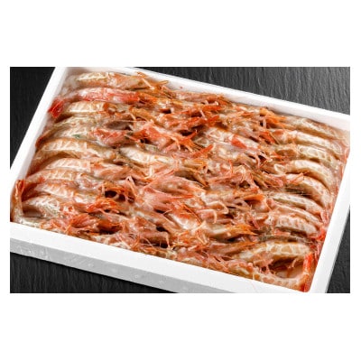 冷凍ガラエビ500g