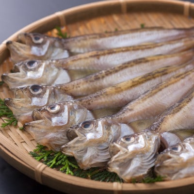 一夜干はたはた350g×2P