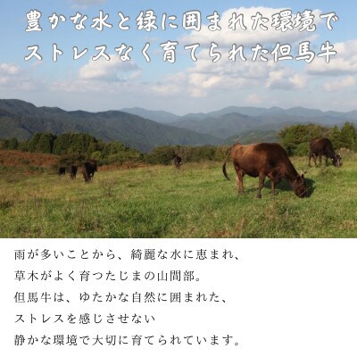 但馬牛　赤身スライス　1kg