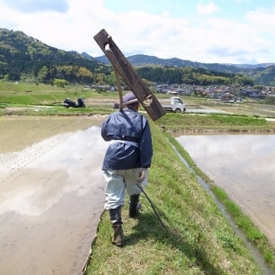 【毎月定期便】和牛の里-但馬・新温泉町 コシヒカリ 精米5kg全12回