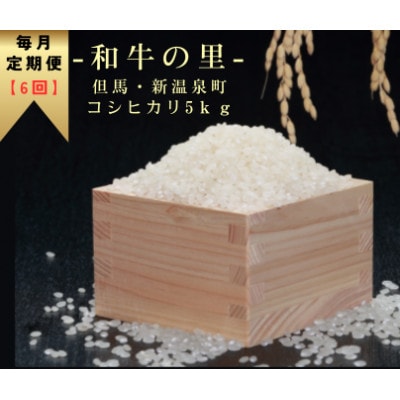 【毎月定期便】和牛の里-但馬・新温泉町 コシヒカリ 精米 5kg全6回