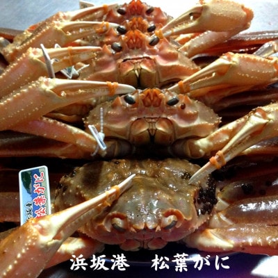 兵庫県　七釜温泉　こう屋旅館　宿泊補助券　6万円分