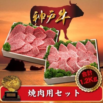 神戸牛 焼肉用セット　合計1200g　SOYS5