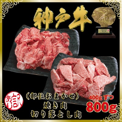 訳あり 神戸牛 切り落とし肉&焼肉用(部位おまかせ)計800g SOSY2【2026年4月より発送】