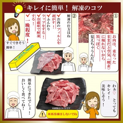訳あり 神戸牛 切り落とし肉&焼肉用(部位おまかせ)計800g SOSY2【2026年4月より発送】
