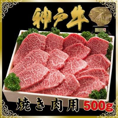 神戸牛(神戸ビーフ)焼き肉用 500g SOY2 【2026年4月より順次発送】