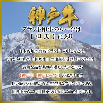 神戸牛(神戸ビーフ)すき焼き&切り落とし肉セット 計900g SOS3【2026年4月より順次発送】