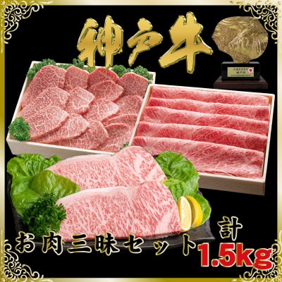 神戸牛(神戸ビーフ)お肉三昧セット 計1.5kg SOLS10