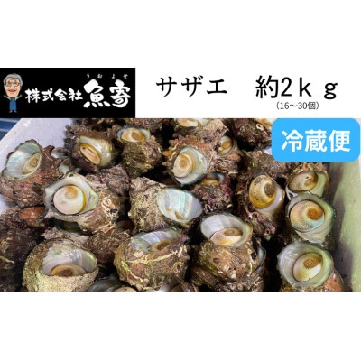 サザエ 約2kg(16個～30個)